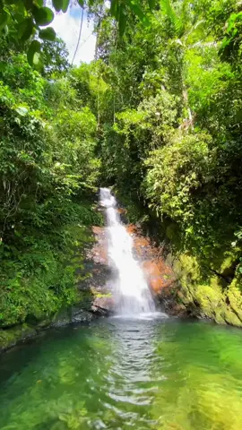 Energía, paz, vida. Let's go! 🫀🍃 . . . #nature #naturaleza #tourism #adventure #travel #traveler #wanderlust #tour #trip #viajes #viajeros #visitperu #igersperu #ctperu #peruenunatoma #landscape #beautiful #tarapoto #peru #selva #jungle #waterfall #cataratas #cascada #tree #color #photography #naturephotography #viral #tiktok