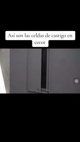 #viral #fyp #parati #luisitocomunica #cecotelsalvador #nayibbukele #elsalvador 