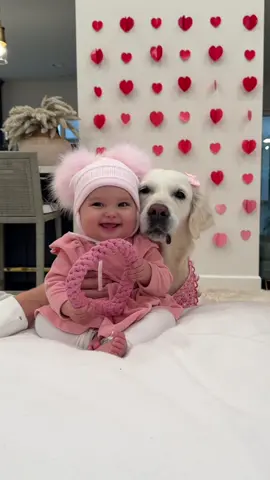 Lady&Livy’s second boop together🐶💗👶🏻 #babyanddog #sisters #boop #fyp #dogtricks #dogsoftiktok 