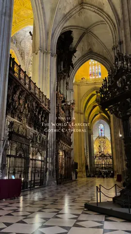 1 minute inside in the world’s the largest gothic cathedral ⛪️ Catedral De Sevilla 🇪🇸 #visitspain #sevilla #thingstodoinseville #seetheworld #traveltok #eurosummer #cathedral #gothicarchitecture 