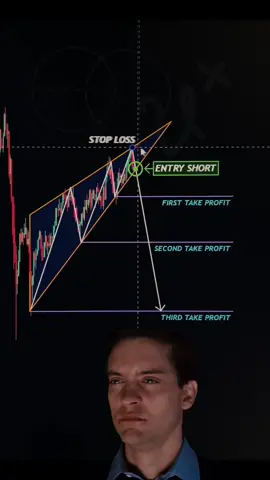 Insane Profit🔥 Trading Book in Bio📚 #trading #forex #crypto #chartpatterns #technicalanalysis #daytrader 