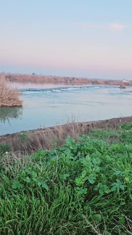 قرية صف التوث الماء والخضراء والوجه الحسن