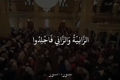 • سورة النور هي من احب السور لي لان تطبيقها وتطبيق كلام الله فيها هو اكثر ما يحتاجه مجتمعنا حاليا‬ ‫• سورة ابتدأ بها الله تعالى بالحديث عن الزنا وجزاء الزاني وان تلك الايات اهتز بدني لها من شدتها‬ ‫• فلم يعد يجلد الزاني ولا الزانية ولا تقطع يد سارق ولا يتم القصاص ولا حد الحرابة ولا حد القذف‬ ‫وبهذا انتشرت هذه الافات والامراض بمجتمعنا وانتشر الفسوق والمجون وكثرت المعاصي والاثام في مجتمعنا واصبحت المجاهرة بالمعصية فخرا للناس وبهذا انتشرت الفاحشة اكثر وفسد مجتمعن‬ #قران_كريم #اية #foryou #fypシ #4u #الرياض #kareem #guran #القصيم #الزانية_والزاني 