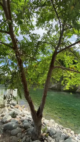 Pacalat river in mangatarem, pangsinan #fyppppppppppppppppppppppp #foryoupage #fypシ #fyp #pacalatmangataremriver #pacalatriver #ilogtrip 