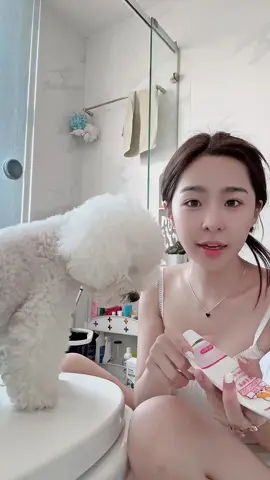 30 Tết toy cũm giặt chó ăn Tết 🐶 #dog #fypシ #ThanhThoiLuotTet 