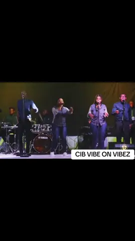 CIB ..VISION IN PROGRESS