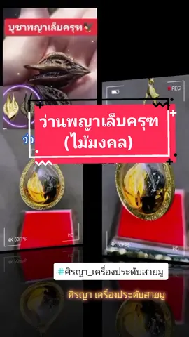 ว่านพญาเล็บครุฑพร้อมแหนบ #เครื่องประดับ  #เล็บครุฑ #สายมู #เทรนด์วันนี้ #tiktokshopครีเอเตอร์ #ช้อปกันวันเงินออก #ศิรญา #ศิรญา_เครื่องประดับสายมู @ศิรญา-เครื่องประดับสายมู @ศิรญา-เครื่องประดับสายมู @ศิรญา-เครื่องประดับสายมู 