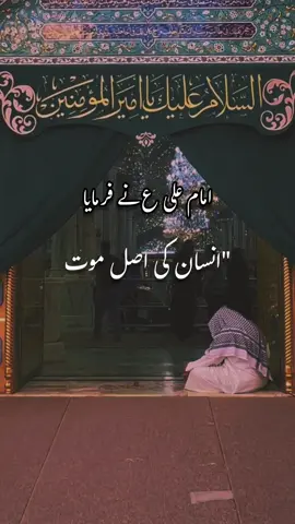 Imam Ali ibn Abi Talib (as) 🌸 #foryou #trending #imamali #hadith #tiktok 