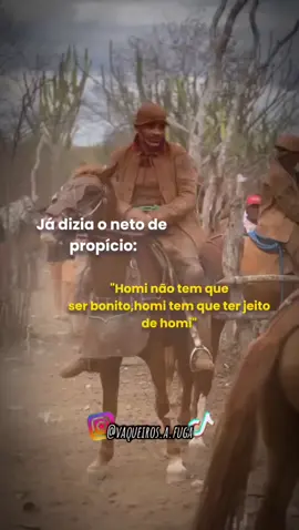 O neto de propício tem ciência 💥 #frase #verso #kauandasmuganga #espora #re #cavalobom #cavalobom #cavalo #vaqueiro #vaqueirosergipano #foryou #vaquejada #vaqueironordestino #foryoupage 