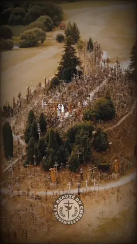 La colline des Croix est un lieu de pèlerinage situé près de la ville de Šiauliai, au nord de la Lituanie. Les premières croix ont été posées sur la colline fortifiée au XIVᵉ siècle. Au cours du temps, de nombreuses croix, des crucifix, sculptures de patriotes lituaniens, des statues de la Vierge Marie, des effigies en étain et des rosaires y ont été apportés par les pèlerins catholiques. La vraie raison de l'existence de cette colline est ancrée dans l'histoire de la Lituanie. Au cours des siècles, l'endroit s'identifia à la résistance pacifique des Lituaniens catholiques en dépit des menaces auxquelles ils ont dû faire face à travers leur histoire. Envahie en 1795 par la Russie durant le partage de la Pologne (qui à l'époque formait une fédération avec le grand-duché de Lituanie), la Lituanie a disparu de la carte de l'Europe. Quand l'ancienne structure politique de l'Europe de l'Est s'effondre en 1918, la Lituanie déclare à nouveau son indépendance. Durant toute cette période, la Colline des Croix a été utilisée par les Lituaniens comme centre de prière pour la paix, pour leur pays et pour l'amour des disparus. Le site avait pris une signification plus particulière durant les années 1944-1990, alors que la Lituanie faisait officiellement partie de l'URSS. Les Lituaniens ont continué à se rendre à la Colline afin d'y déposer des offrandes et montrer leur attachement à leur identité, leur religion et leurs racines. Ainsi, malgré l'acharnement des Soviétiques à retirer les nouvelles croix et à raser le site au bulldozer (au moins par trois fois), de nouvelles croix ont continué à apparaître. En 1985, les autorités soviétiques ont renoncé à retirer les croix. Depuis l'indépendance de leur pays, les Lituaniens ont continué à ajouter des milliers de croix, chapelets et autres objets de culte. Les croix y sont actuellement au nombre de 150 000, rappelant aux visiteurs la lutte d'un peuple pour la liberté de son pays. Le 7 septembre 1993, le pape Jean-Paul II s'est rendu à la colline des Croix, la déclarant site d'espoir, de paix, d'amour et de sacrifice. Devenues représentatives de l'art populaire du pays, des croix existent dans de nombreux villages et au bord des routes. La Lituanie est d'ailleurs parfois surnommée « le Pays des Croix ». Le 8 juillet 2000, un monastère franciscain est consacré. Le 8 mai 2016, le cardinal Pietro Parolin, représentant le pape François, s'y rend et y célèbre la messe. Du 22 au 25 septembre 2018, Le pape François visite les trois Pays baltes à l'occasion de l'année des 100 ans de la première création de ces États. Il passe par la colline des Croix. #tiktokchretien #chretien #catholique #religion #histoire #paix #lituanie 