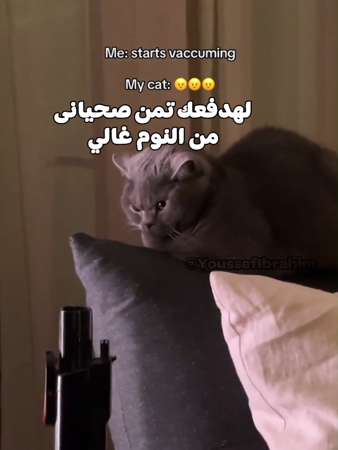 أفضل دوبلاج للحيوانات  #youssefibrahim