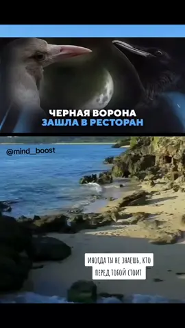 Иногда мы не знаем, кто стоит или сидить перед нами  ...#историиизжизни #саморазвитие 
