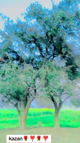 shakeel💓khan🌹