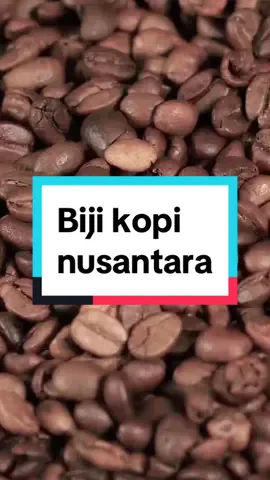 Biji kopi pilihan yg di sangrai dengan tingkat kematangan yang pas untuk menciptakan rasa dan aroma yang enak #bijikopi #kopinusantara #ngopidulu 