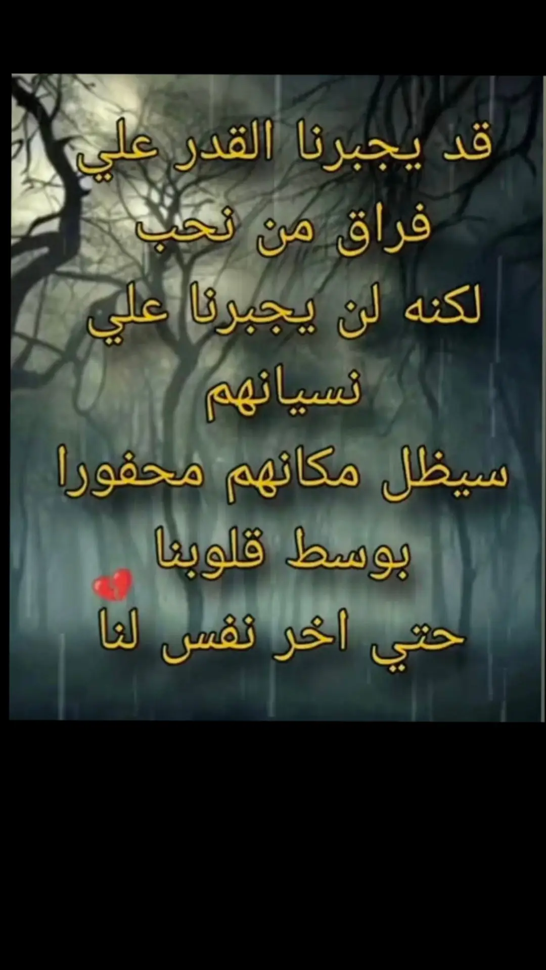 #قد يجبرنا القدر على فراق من نحب ولكنه لا يجبرنا على نسيانهم💔🌹💔🌹💔🌹💔🌹💔🌹💔🌹💔🌹💔🌹💔🍀💔🌹💔🌹💔