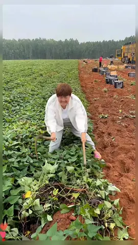 OMG👩‍🌾💥🥰😂🍀🙏💥💫#asmr #fruit #Love #fyp #top #garden #tiktok #happy 
