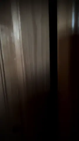 She’s in the shadows #thenun #ghosthunting #ghost #demon #posessed #creepy #creepypasta #haunted #fyp #foryoupage #jumpscare #horror #tiptoethroughthetulips #insidious 