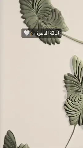 طلب عميلتنا الأنيقة | بشارة تخرج 🎓🤍 #بشارة_تخرج #دعوة_تخرج #تخرج #دعوات_الكترونيه #دعوات_الكترونية #اكسبلور 