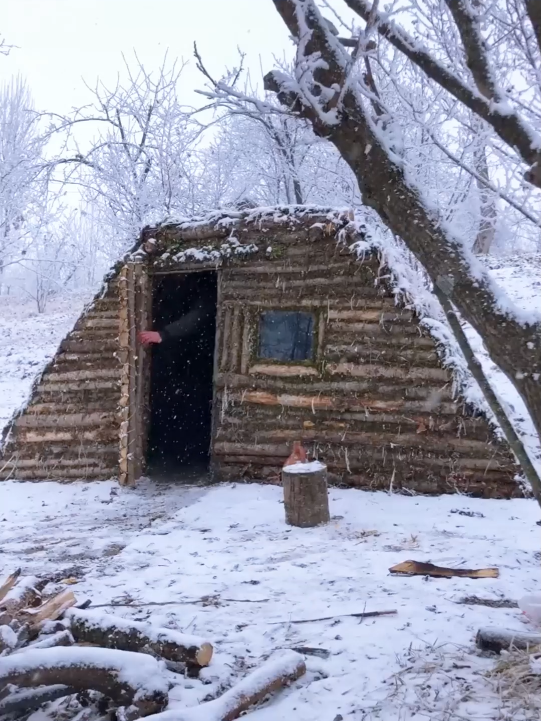 Building a dugout from scratch, alone in the woods #bushcrafting  #build  #camping  #ourdoor  #survival  #shelter  #viral  #fyp  #camp  #craftingvisionary