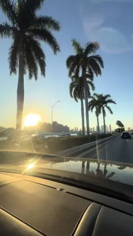 In love ❤️🌴☀️ #miami #miamibeach #miamilife #saturday 
