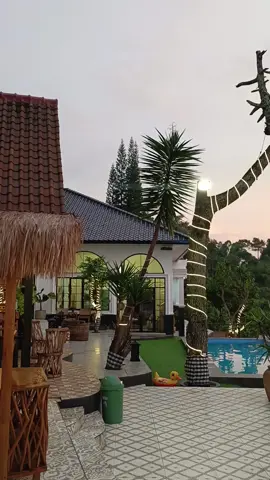 Sumpah guys gila banget Viewnya cakep dah Terimakasih banyak Kak Alfan dan Kak Sigit sudah berlibur di Villa Malini 11 #villamalini #malinivilla #villapuncak #villapuncakbogor #villabogor #sewavillapuncak #puncakbogor #wisatapuncak #wonderfulindonesia