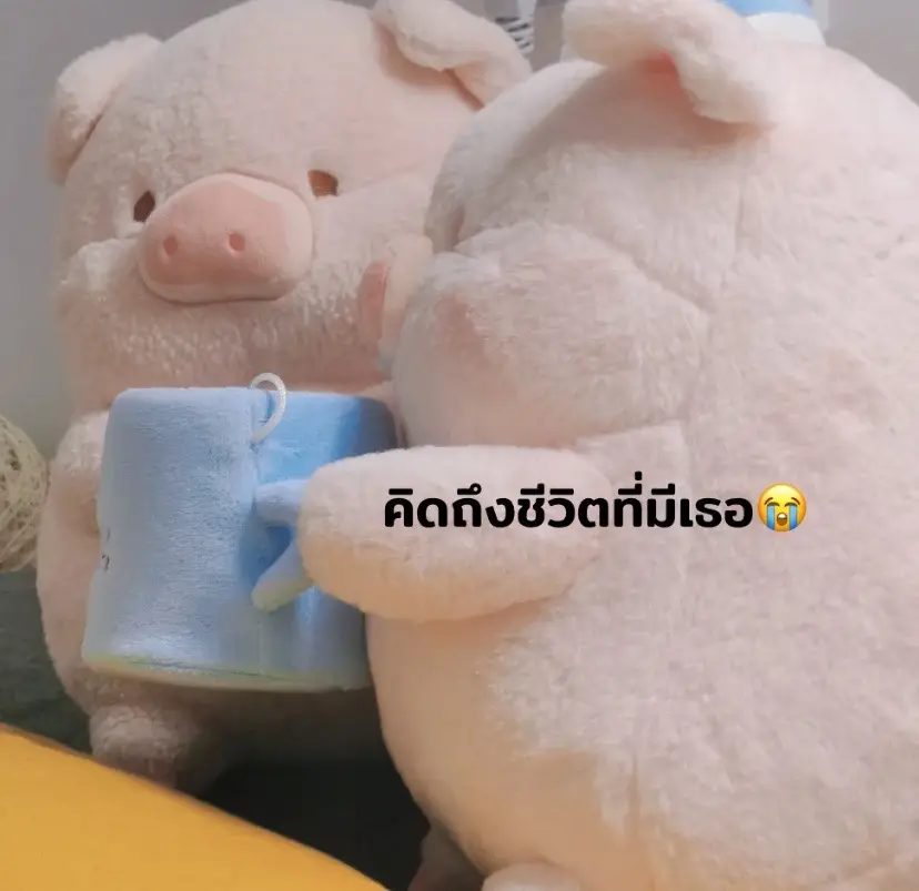 #สตอรี่_ความรู้สึก😔🖤🥀 #คิดถึงใจจะขาด #ตุ๊กตาlulu #พิกัดน้อง🐽ตะกร้าหน้าโปรไฟล์นะคะ 