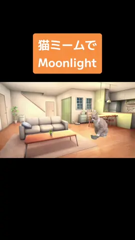 猫ミームでMoonlight作ってみた#猫ミーム#猫マニ 