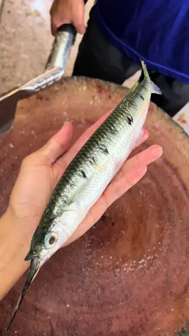 next nak ikan ap plk ?🙃