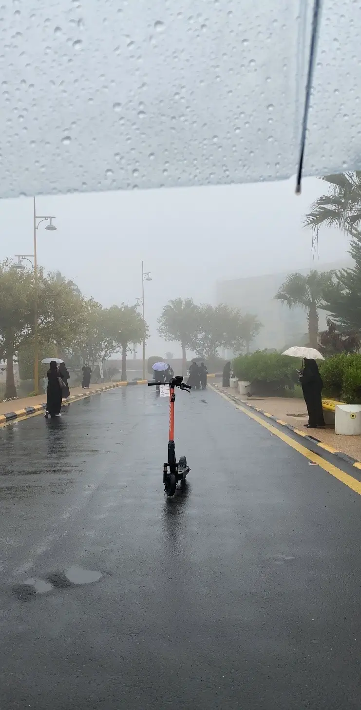 صباحات الجامعة الممطرة❤️❤️ #جامعة_الملك_خالد #قريقر #ابها #جامعة_الملك_خالد_قريقر #abha #مطر #ضباب_ابها #ضباب #مطر_غيوم #مطر_يجي #أبها #عسير #كلية_الاعمال #kku 