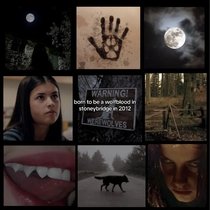 my dream since i first watched it when i was like 8 #foryou #fyp #edit #wolfblood #trend #wolfbloodseries #childhoodmemories #childhoodtvshows #foryoupage #trendingaudio #stoneybridge #cbbc #trendingsound #wolfbloodreality #thepromisethatikeep #maddysmith #maddysmithwolfblood #editor #editing #capcutedit #forcedtobe #borntobe #trend 