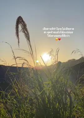 #เพลงม้งเศร้าๆ #สตอรี่ม้ง🦋✨ #เธรดม้ง💗 #fypシ 