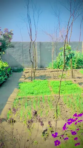 کئی ٹیر دے سامنڑےنہ جھکسوں#foryoupageofficiall❤️❤️tiktok🌿🦋🍁🍁🍁،fyp #fypシ゚viral #PTI 