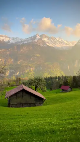 🇨🇭Beautiful Switzerland ❄️🌸☀️🍂 #switzerland #swissaround #tiktoktravel #landscape #nature 