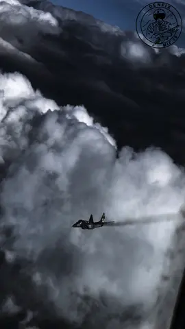 #denfix #airforce #ЗСУ #СлаваУкраїні #2024 #рекомендації #Нація #fly #MiG29 #video #UA 