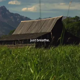 just breathe. #nature#MentalHealth#corecore#camping 
