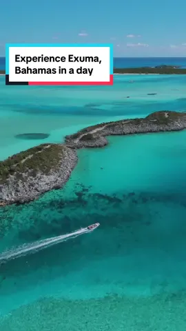 Did you know you can experience the best of Exuma, Bahamas in just a day? Enjoy an all-inclusive adventure with the following experiences: 🐷 Swim with the pigs at Pig Beach 🐚 Relax on a beautiful sandbar 🤿 Snorkel at Thunderball Grotto 🦈 Meet the nurse sharks of Compass Cay ✈️ Discover a sunken plane wreck 🍽️ Enjoy lunch from Flyin’ Pig Cafe 🦎 Watch the playful Iguanas of Guana Cay SEND this to a friend you’d love to experience this with. 🙌 This luxury day trip by @3nsstanielcay includes airport transfers, flights, lunch and the tour. Visit SeePigBeach.com to book or learn more. #swimmingpigs #pigbeach #exuma #bahamaslife #caribbeantravel