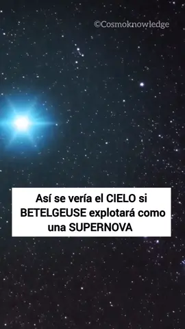 💥🌌 𝗔𝘀í 𝘀𝗲 𝘃𝗲𝗿í𝗮 𝗲𝗹 𝗖𝗜𝗘𝗟𝗢 𝘀𝗶 𝗕𝗘𝗧𝗘𝗟𝗚𝗘𝗨𝗦𝗘 𝗲𝘅𝗽𝗹𝗼𝘁𝗮𝗿á 𝗰𝗼𝗻 𝘂𝗻𝗮 𝗦𝗨𝗣𝗘𝗥𝗡𝗢𝗩𝗔  🔴 Betelguese es una estrella supergigante roja, ubicada en la constelación de Orión, es la novena estrella más brillante del cielo nocturno. 🌌 🔴 Betelgeuse es una estrella muy grande, unas 1.300 veces mayor que el Sol y tiene unas 20 masas solares. Si reemplazaremos a Betelgeuse por el Sol, engulliría los cuatro planetas terrestres: Mercurio, Venus, Tierra y Marte, e incluso el gigante gaseoso Júpiter. Sólo Saturno quedaría más allá de su superficie. 🔴 Betelgeuse se encuentra a unos 700 años luz de distancia. El estado evolutivo de la estrella es avanzado: ha pasado ya la etapa más importante de su vida, la secuencia principal, agotado ya el combustible en su núcleo que le proporcionaba energía (por fusión del hidrógeno), después de lo cual aumentó su tamaño hasta las enormes dimensiones actuales. ¿Betelgeuse explotará? Está estrella tiene un comportamiento errático, ya que se ha observado que el brillo de betelguese aumenta y disminuye. La mayoría de los astrónomos que estudian Betelgeuse mencionan que la estrella se encuentra sólo en las primeras etapas de su vida de gigante roja, fusionando felizmente helio, y todavía le faltan decenas de miles de años para explotar. Algunos estiman que puede explotar en los próximos 100.000 años, algunos en unos 10 millones de años. ¿Cómo se verá en el cielo? En ese momento, Betelgeuse brillaría al menos 10.000 veces más que una supernova ordinaria, con la luminosidad de la Luna en cuarto creciente Algunas fuentes predicen una magnitud máxima aparente a la de la Luna llena durante varios meses. Sería un punto extremadamente brillante en el cielo, pudiéndose observar incluso de día. Crédito: Cosmoknowledge #constelacionesfamiliares #fisica #betelgeuse #fotografianocturna #astronomia #astrofisica #universo #ciencia #luna #datocurioso #estrellas #saturno #cielo #cielos #espacio #galaxia #constelaciones #lunanueva #lunallena #ciencias #planetas #galaxias🌌🌌  #asteroide #cielo #galaxias #telescopio #sistemasolar #datoscuriosos #astrofotografia #supernova 