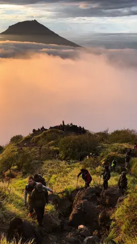 MasyaAllah cantik banget sunrisenya di Gunung Sindoro 😍⛰️🫶🏻 #foryourpage #foryupage #foryoupageofficiall #fypシ゚viral #fypage #foryoupage❤️❤️ #mtsindoro3153mdpl #sindoro #wonosobo #sunrise #astrophile 