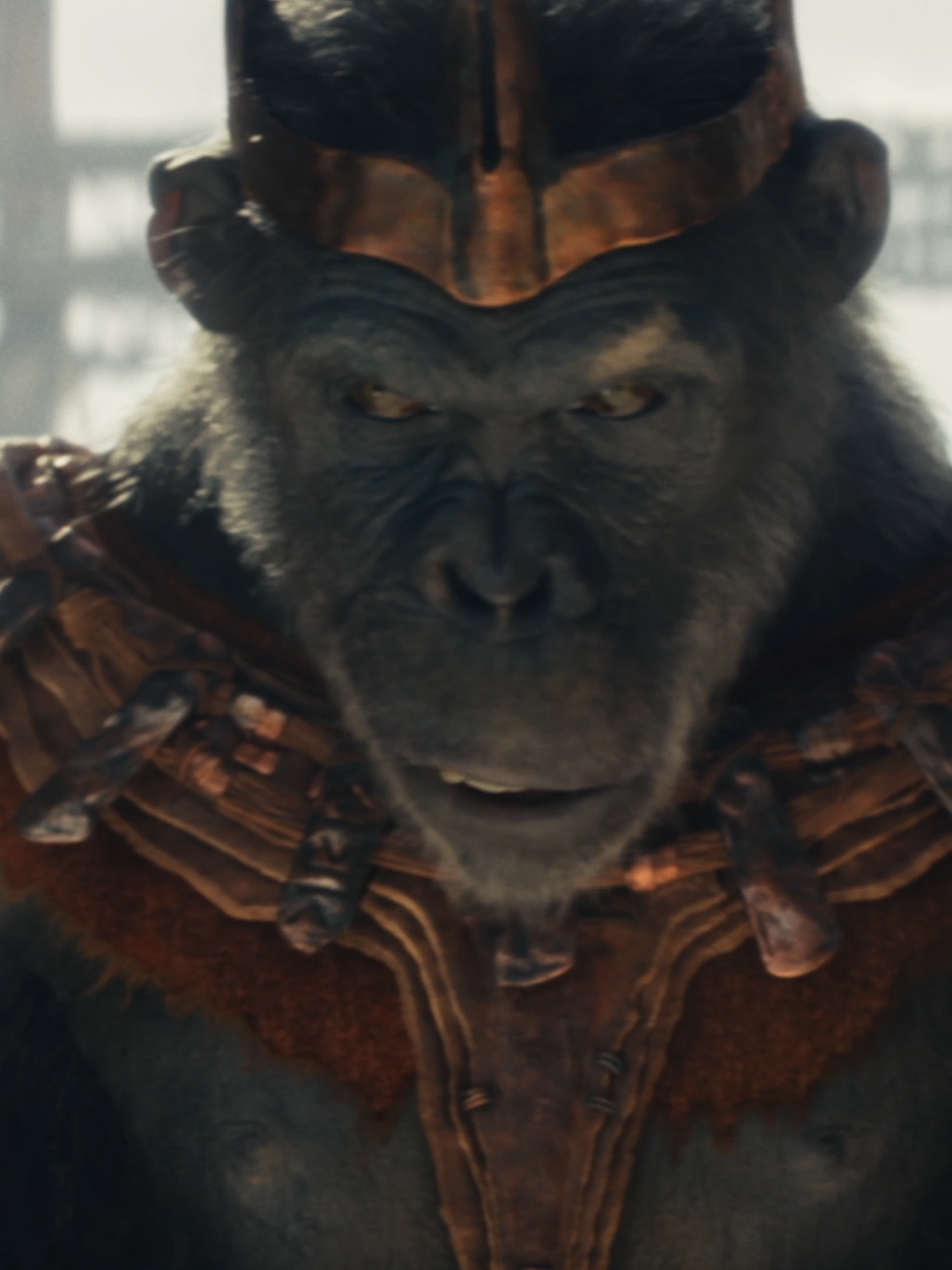 No one can stop the reign. Watch the brand-new trailer for #KingdomOfThePlanetOfTheApes. Experience it in theaters May 10.