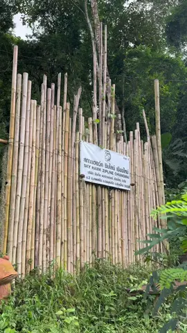 Make sure to check out Sky Hawk Zipline located in Chiang Mai! 💕  #thailand #northernthailand #thailandactivities #travelthailand #trutravels #travelvlog #dailyvlog #zipline #solotravel 