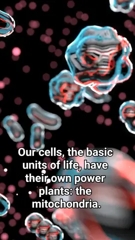 Mitochondria: The Powerhouses of the Cell