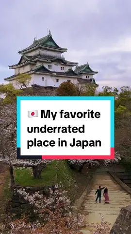 My favorite prefecture in Japan is a hidden gem right next door to Osaka! Wakayama is a coastal prefecture, and Wakayama City is only a 1-hr train ride away from Osaka. It’s famous for stunning ocean views, important sacred sites and beautiful hikes (like the Kumano Kodo pilgrimage and Nachi Falls), amazing food and the kindest people. It’s also never been crowded when we’ve visited, even during peak sakura season! I may be a little biased because my grandpa is from Wakayama. But it has my whole heart! ♥️ #wakayama #和歌山 #japantiktok #visitjapan #offthebeatenpath #hiddengems #japantravel 