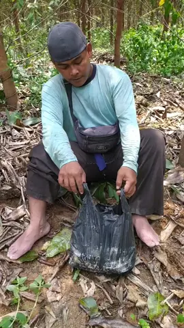 bersak bersak pangah mie sedap terasa sedapnya kalau di kuah#makan #mukbang #fyp #2024 