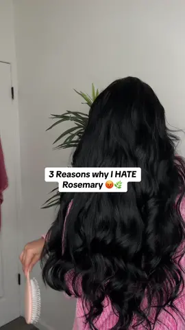 JK we love Rosemary 🤭🫡✅ #fyp #xybca #hairtok #hairgrowth #longhair #rosemary #haircareroutine 