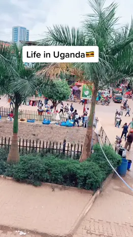 USA fyp life in Uganda #fypシ゚viral @MTN Uganda