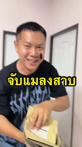 จับแมลงสาบ #แมลงสาบ #โมเมายากันยุง 