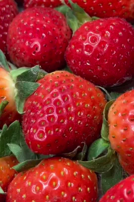 Valentine Strawberry🍓💖 #ValentinesDay #valentine #icecream #cornwall #rubys #foweyriver #fyp #fowey #icecreamshop #yummy #strawberry 