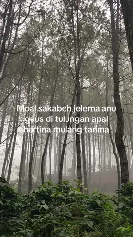 #Da leress baraya #fyppppstorysunda #storywhatsap#fypppp