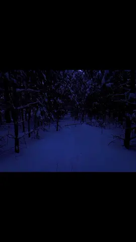 Буду благодарен, если вы подпишитесь на мой телеграмм канал: deadsleeep. Спасибо каждому, кто подпишется.