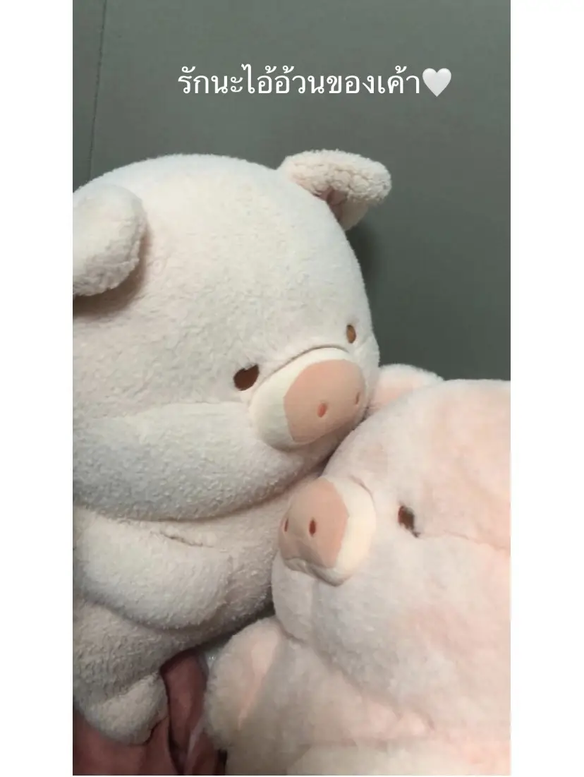 #แท็กแฟน #เธรด #คลั่งรักแฟนตัวเอง💖🐻 #พิกัดน้อง🐽ตะกร้าหน้าโปรไฟล์นะคะ 